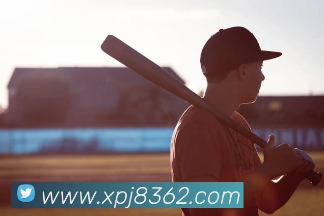 战术分析频道